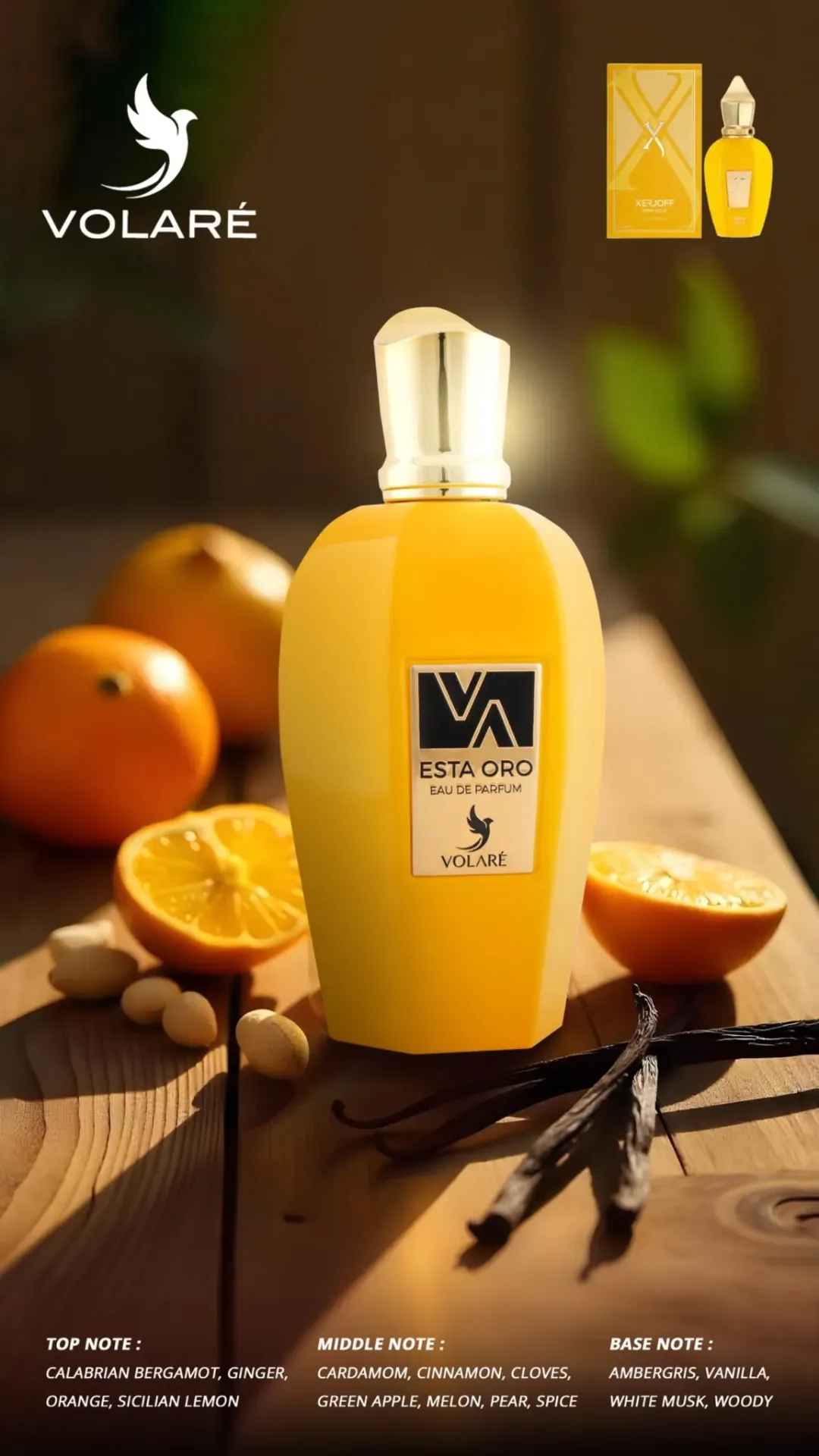[VOL-196] VOLARE ESTA ORO 25ML