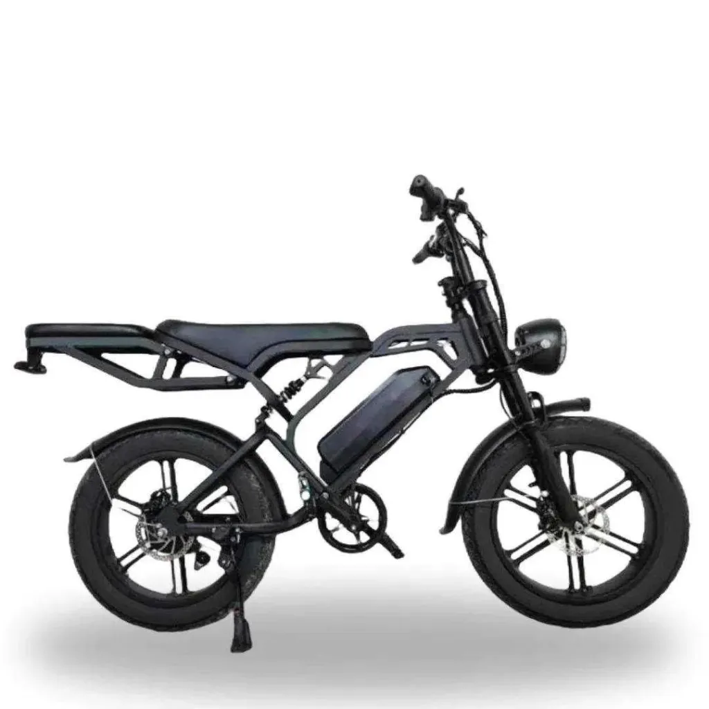 Fatbike V20